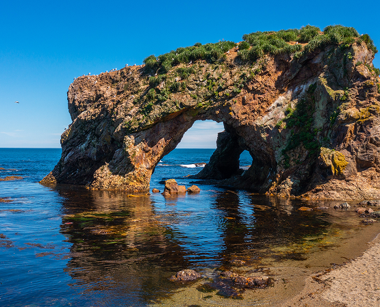 维利坎角和普蒂奇角
